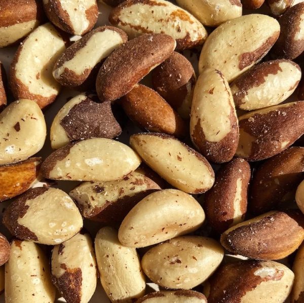 Brazil Nuts Raw Thalman Estate Dried Fruit and Nuts